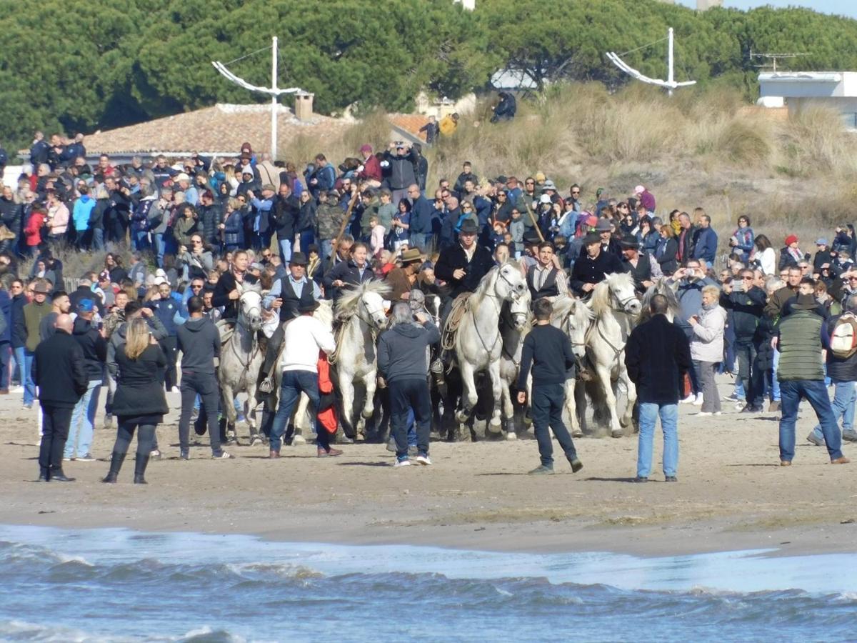 Studio Climatise 1 A 4 Personnes Vue Mer Le Grau-du-Roi Kültér fotó